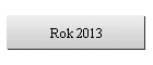 Rok 2013