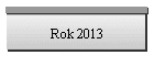 Rok 2013